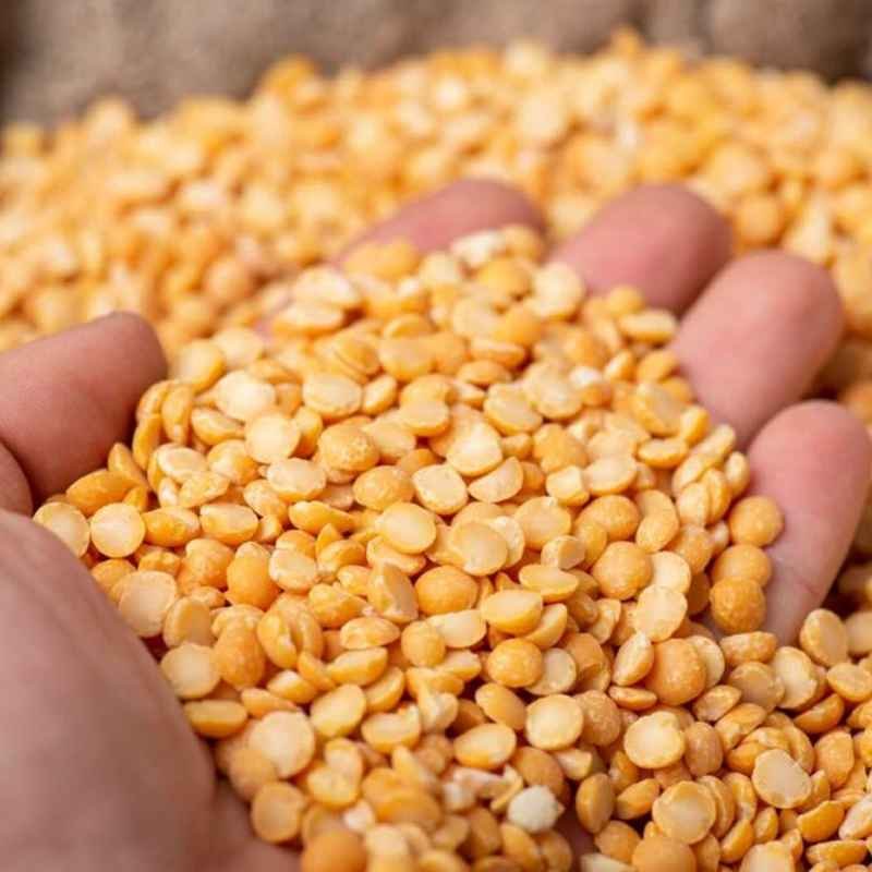 Peas Kik-አተር ክክ (25KG)