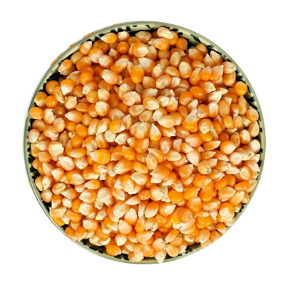 Pop Corn-ፈንዲሻ  20KG