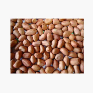 Roasted and Peeled Peanuts – ተቆልቶ የተፈለፈለ ለውዝ 1kg